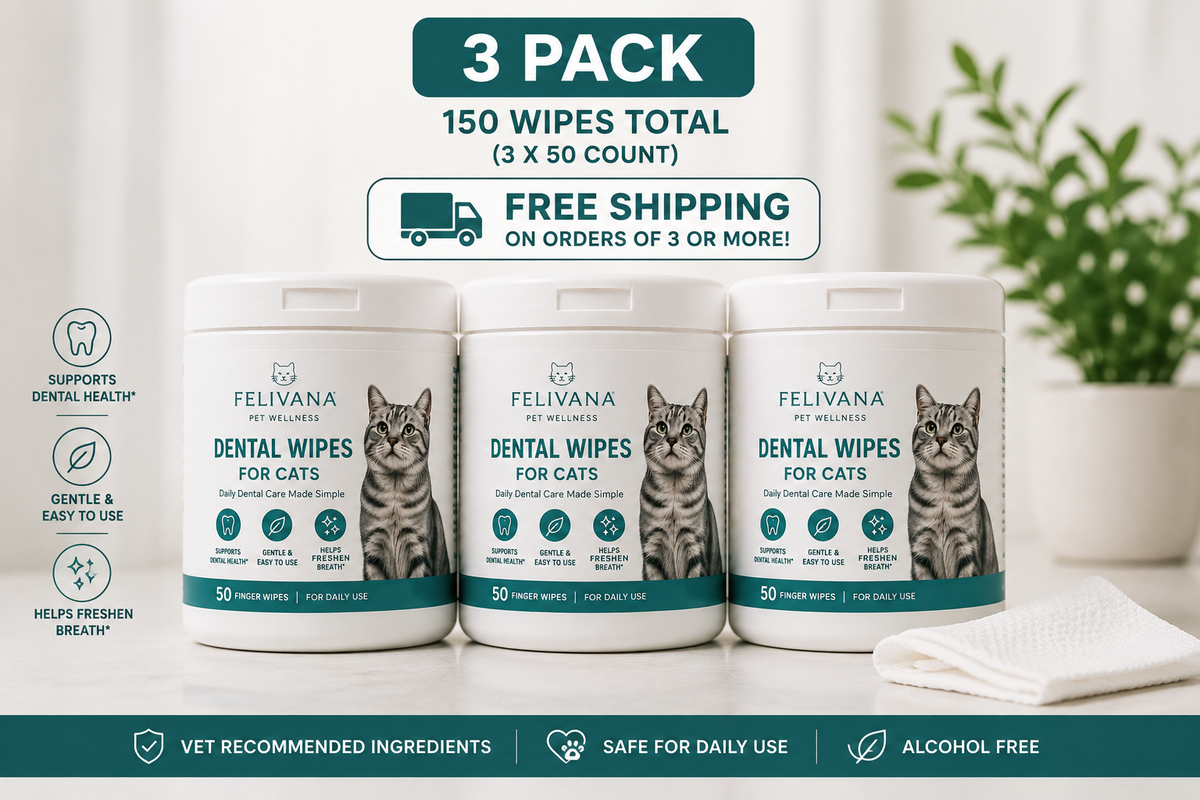 Felivana™ Daily Dental Wipes for Cats — 50 Count